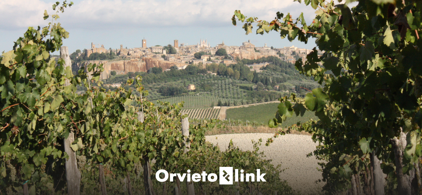 Orvieto Link